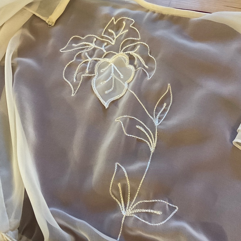 True Vintage 1980s Sheer Embroidered Church Dress with Ribbon Sash - Picture 16 of 16